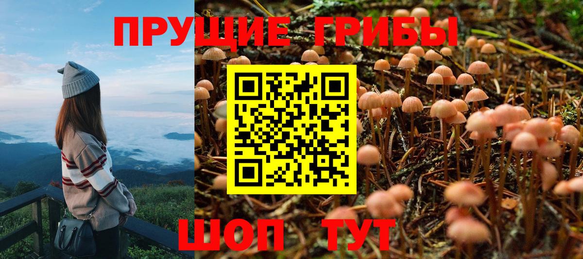 Псилоцибиновые грибы мухоморы Мценск