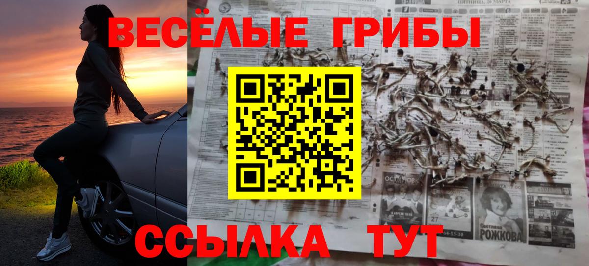 Мценск  Псилоцибиновые грибы Psilocybine cubensis  дарнет шоп  Псилоцибиновые грибы Cubensis  Вход с VPN 